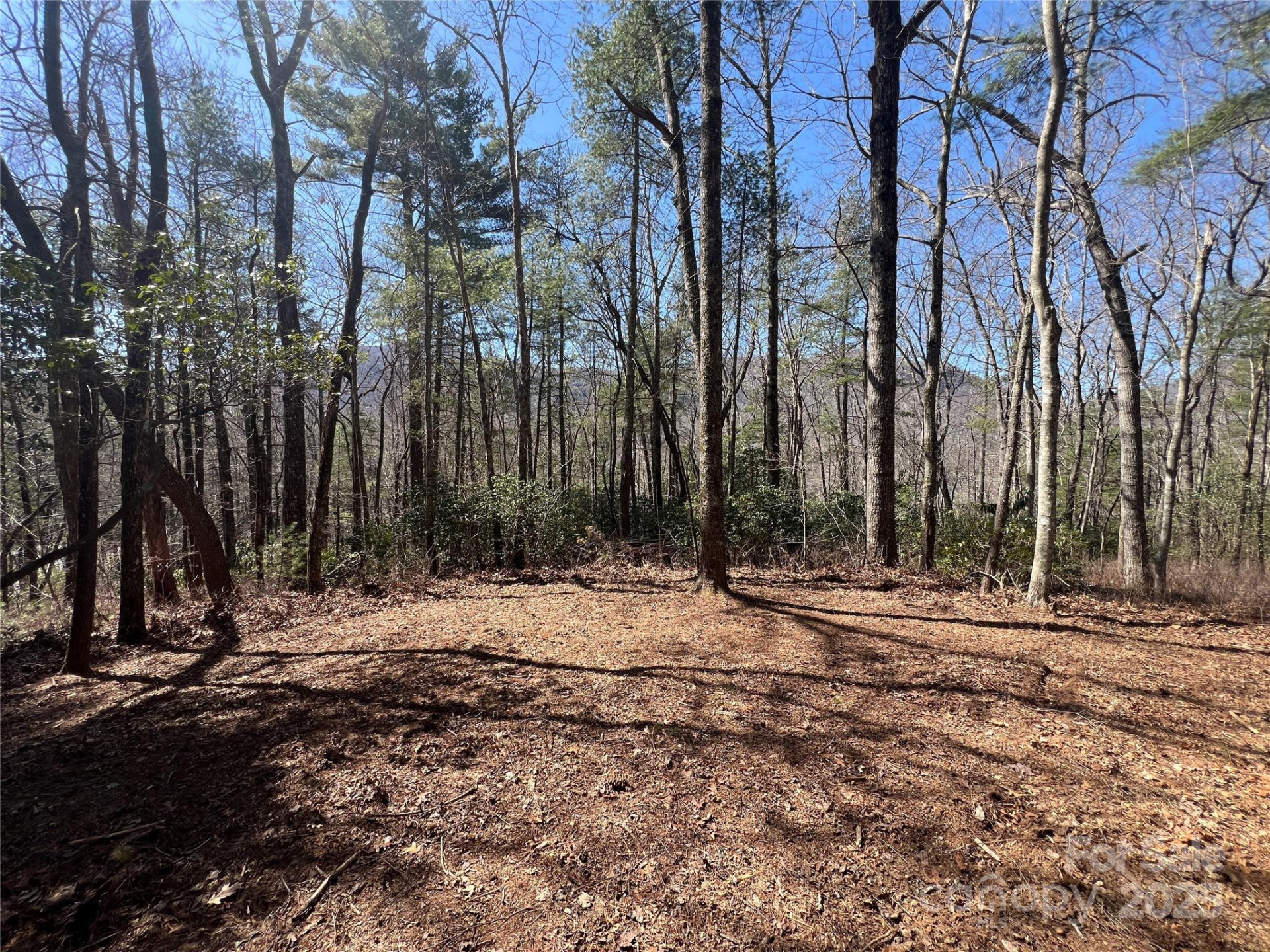 TBD Panther Ridge Road - Photo 10