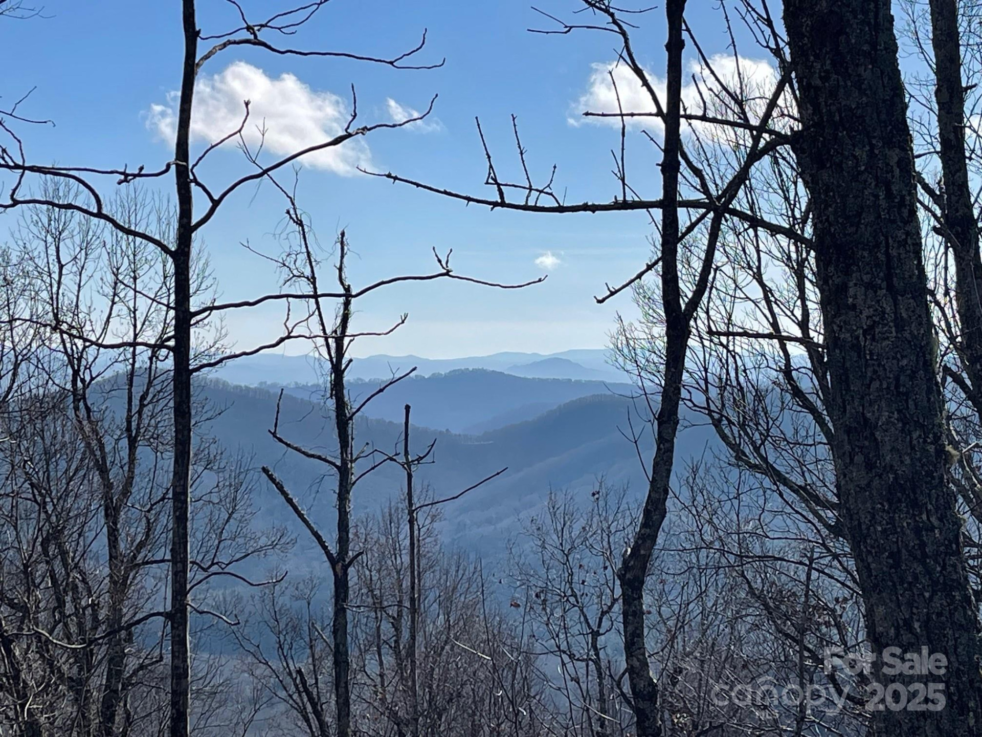 TBD Billy Cove Road - Photo 2