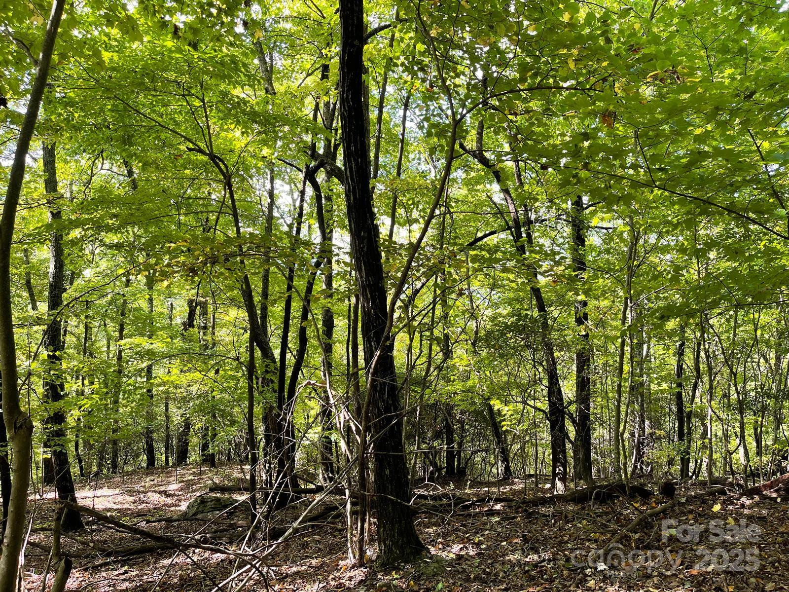 TBD Billy Cove Road - Photo 11