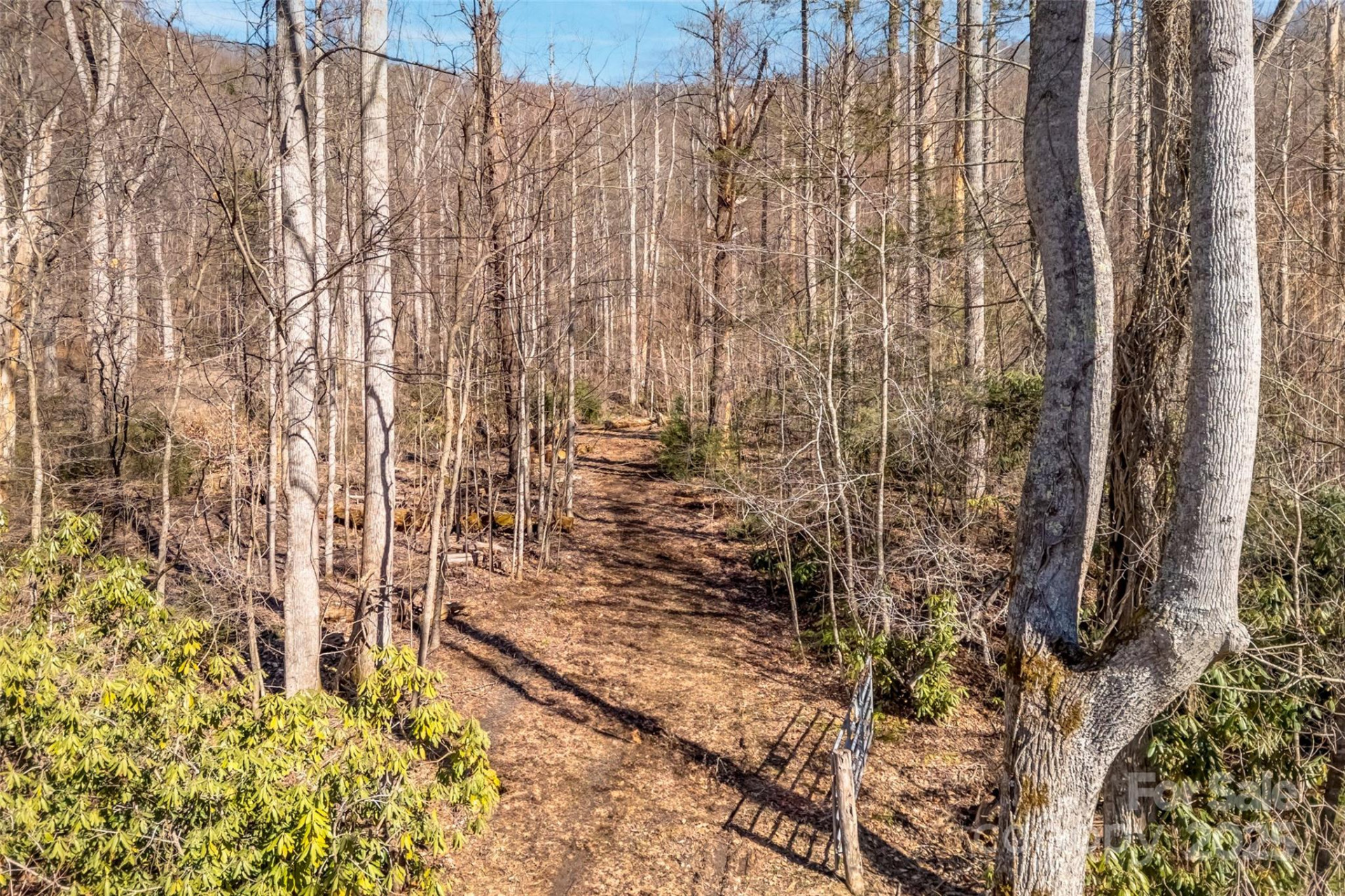 TBD Billy Cove Road - Photo 13