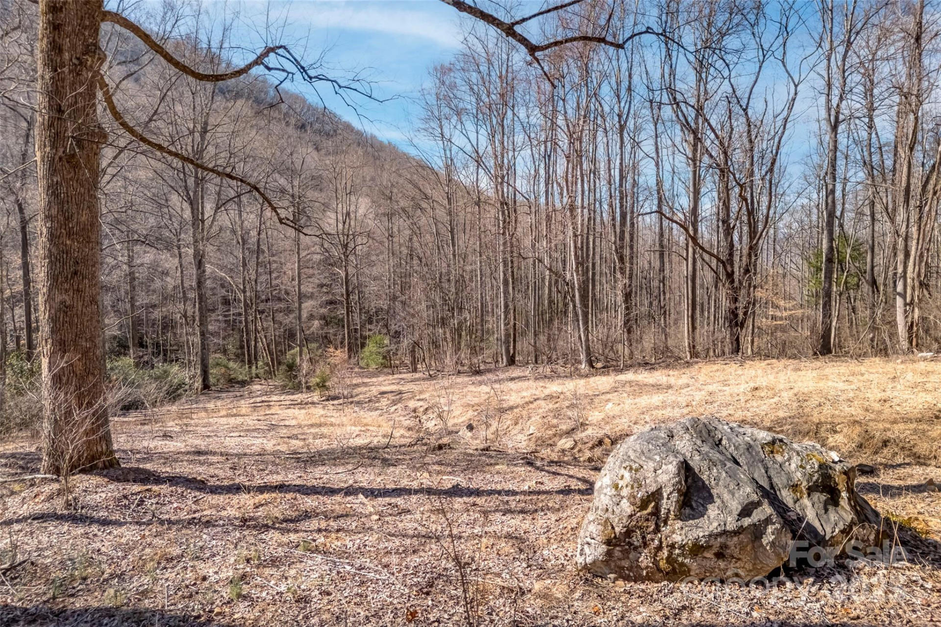 TBD Billy Cove Road - Photo 15