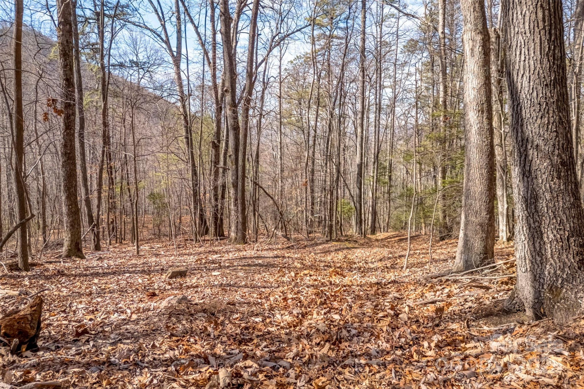 TBD Billy Cove Road - Photo 16