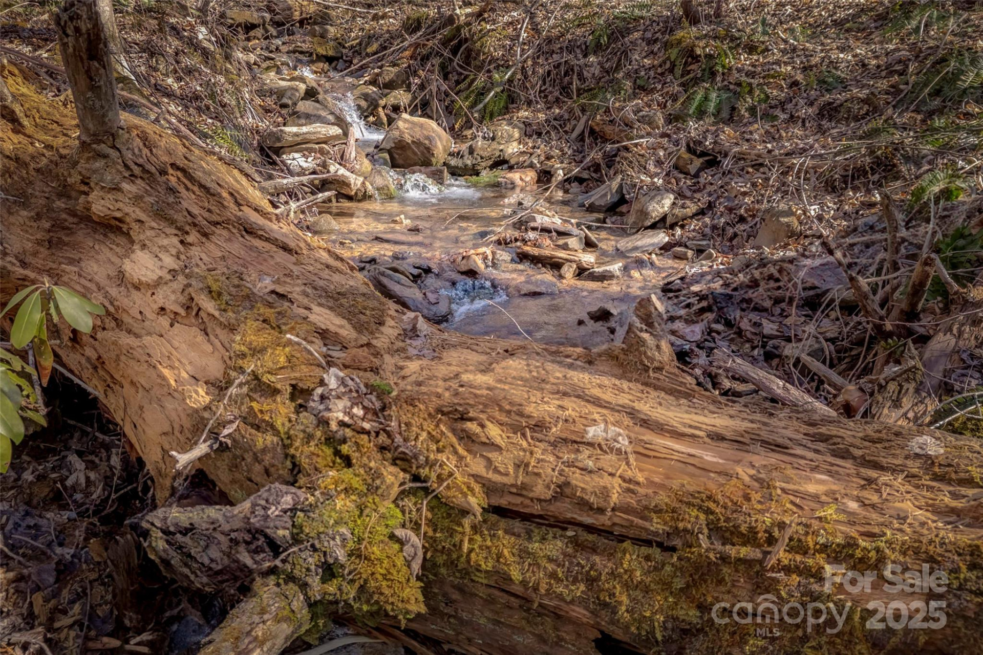 TBD Billy Cove Road - Photo 17