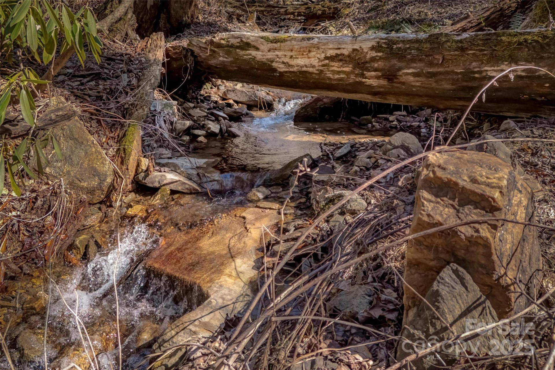 TBD Billy Cove Road - Photo 18