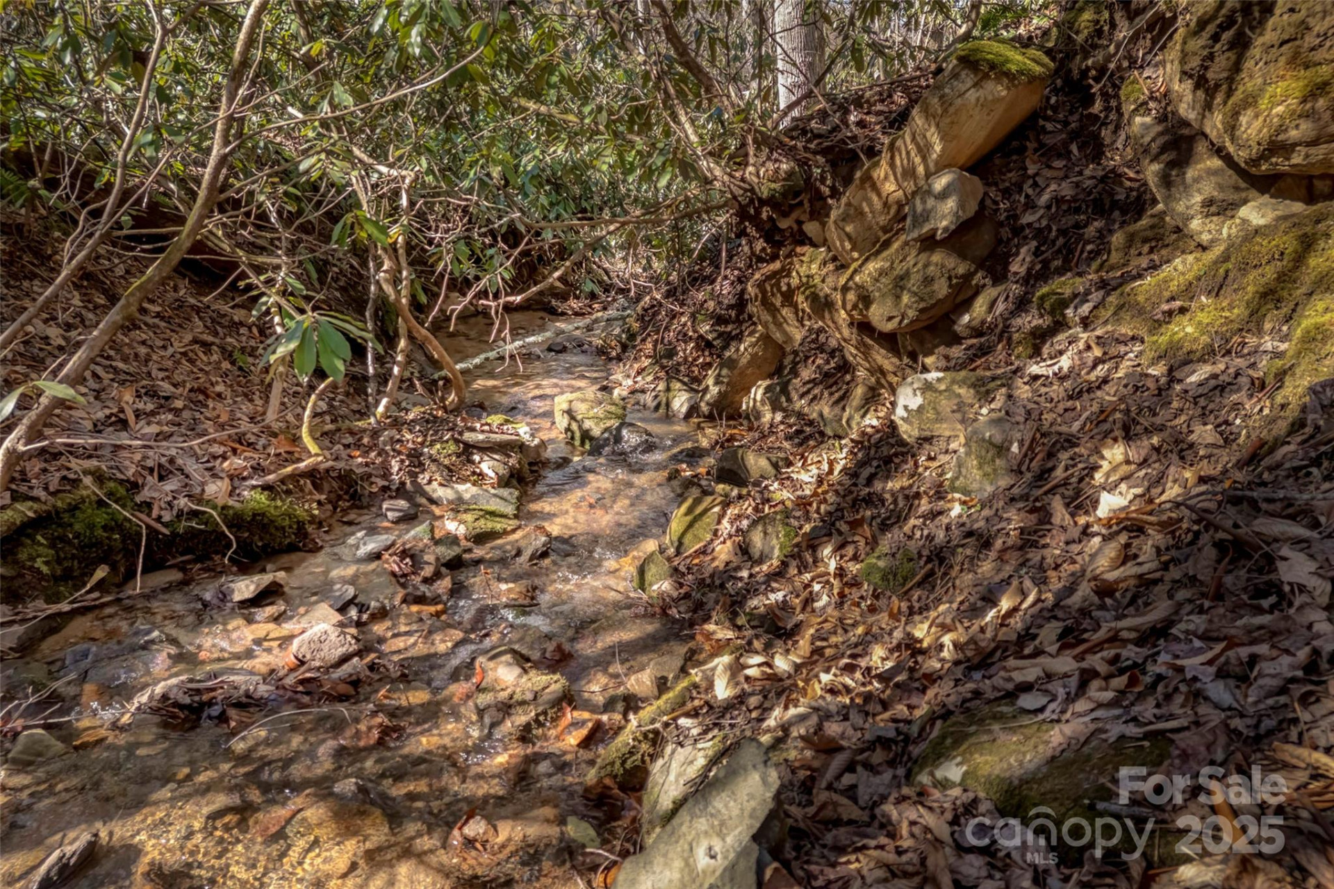 TBD Billy Cove Road - Photo 19