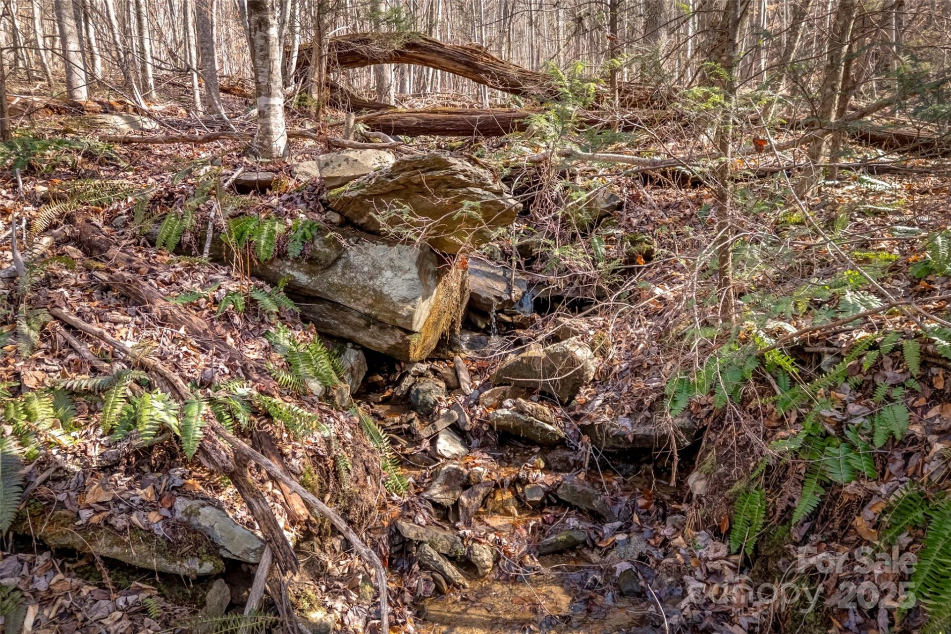 TBD Billy Cove Road - Photo 20