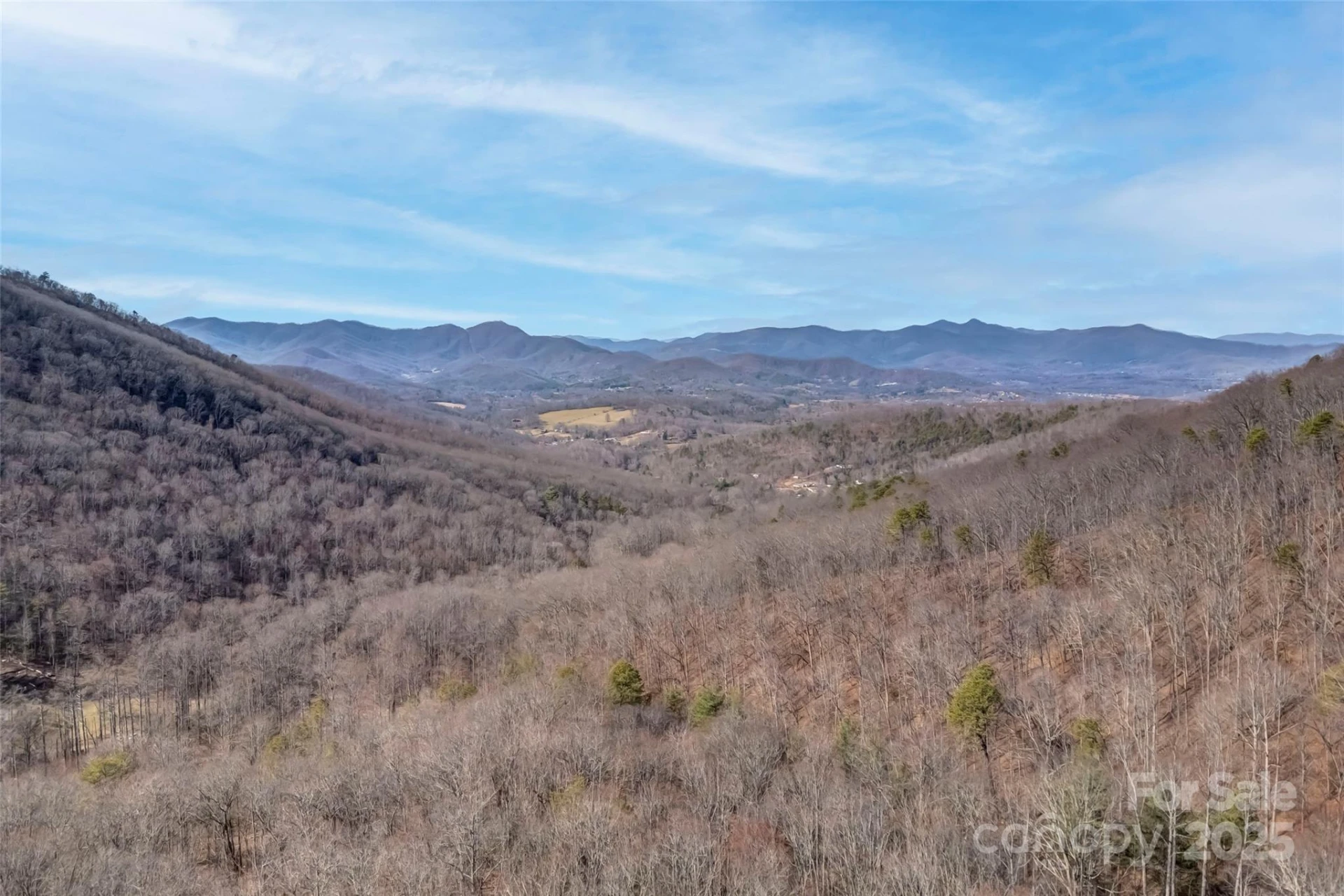 TBD Billy Cove Road - Photo 3