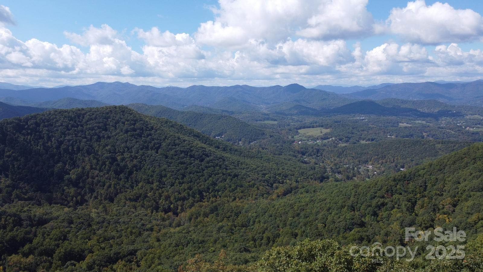 TBD Billy Cove Road - Photo 24