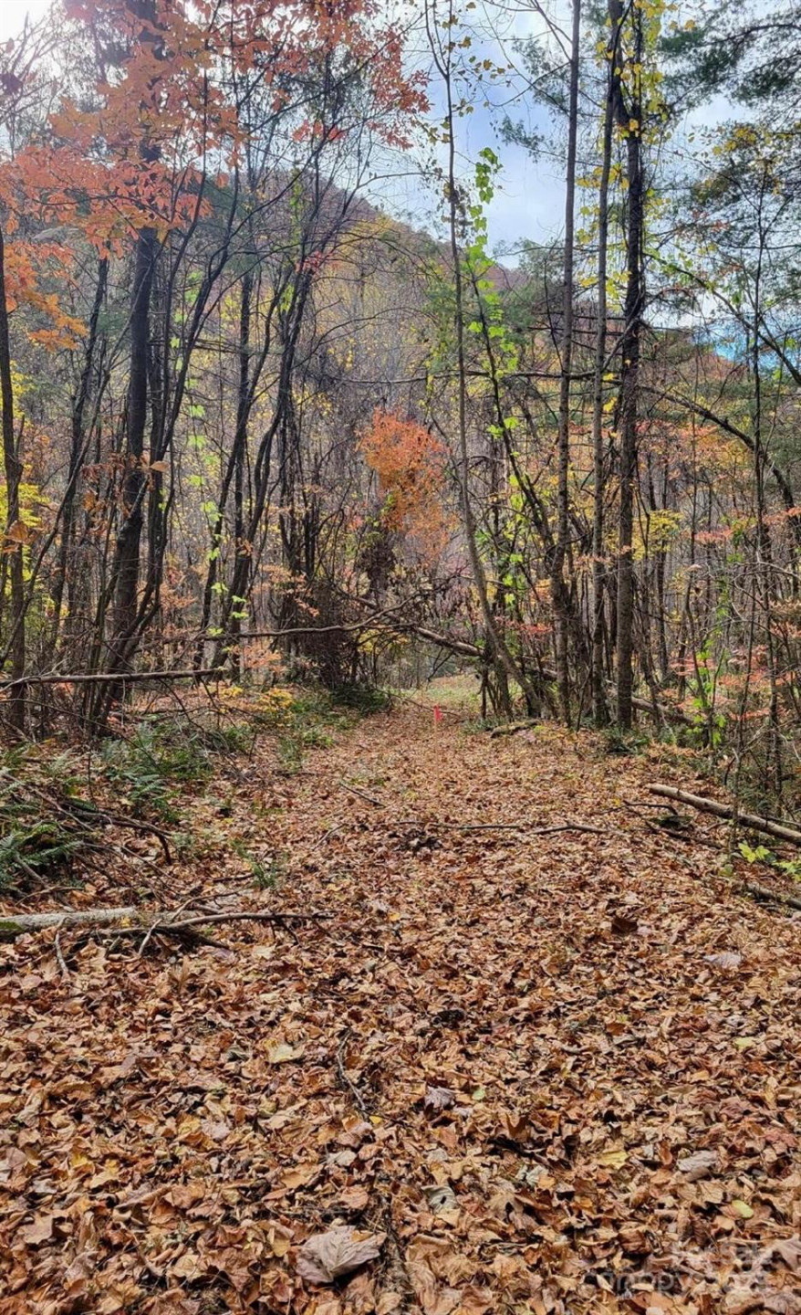 TBD Billy Cove Road - Photo 26