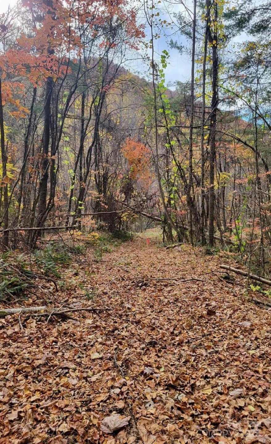 TBD Billy Cove Road - Photo 26