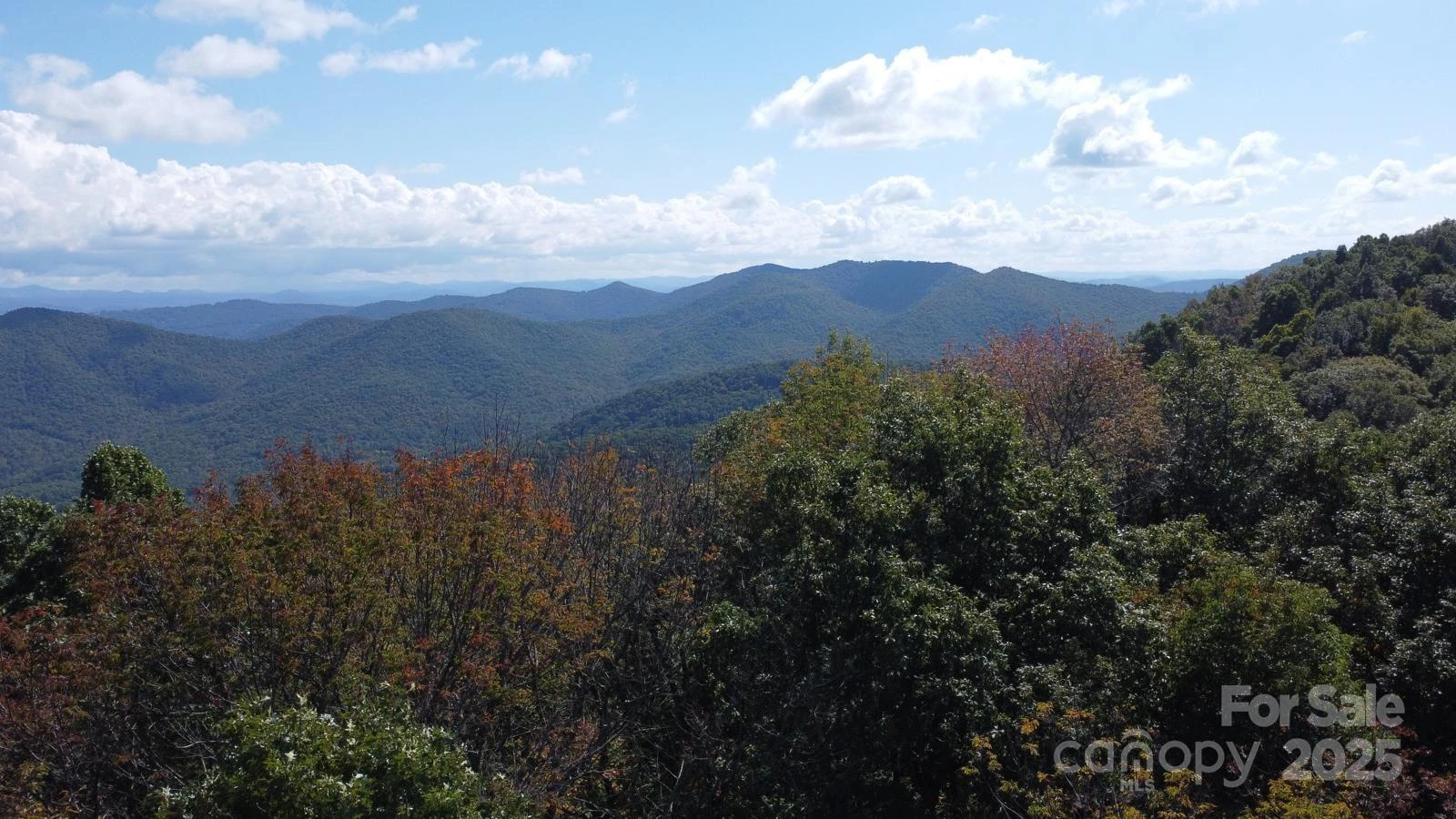 TBD Billy Cove Road - Photo 27