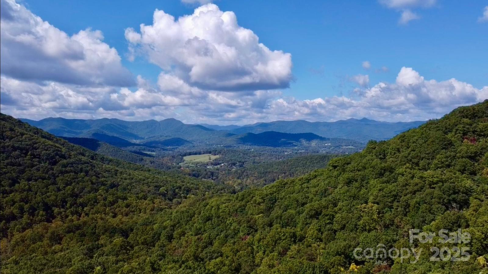 TBD Billy Cove Road - Photo 28