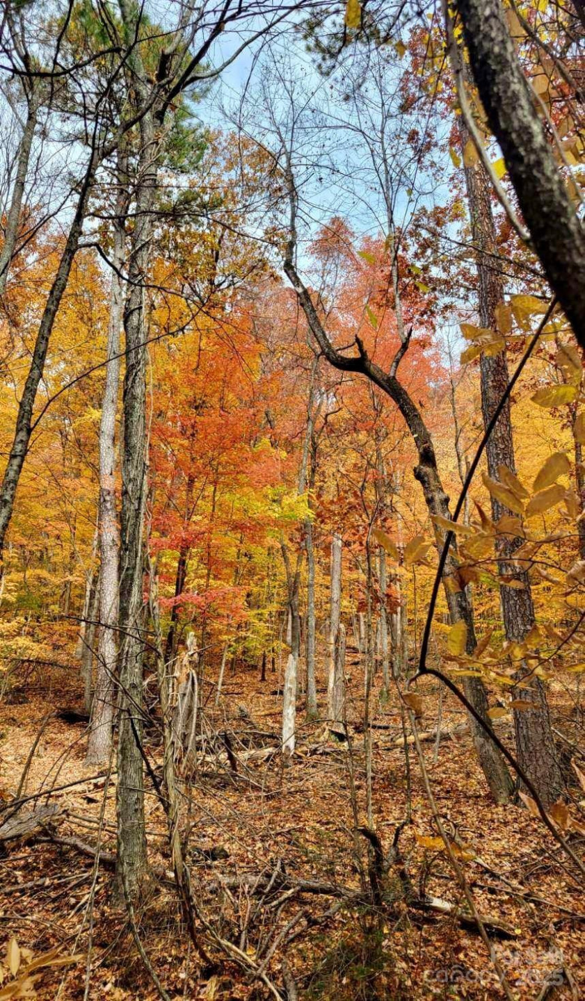 TBD Billy Cove Road - Photo 29