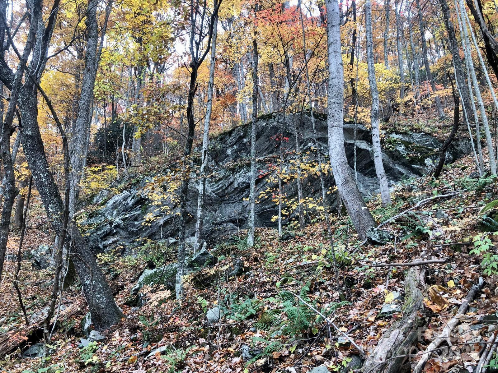 TBD Billy Cove Road - Photo 30