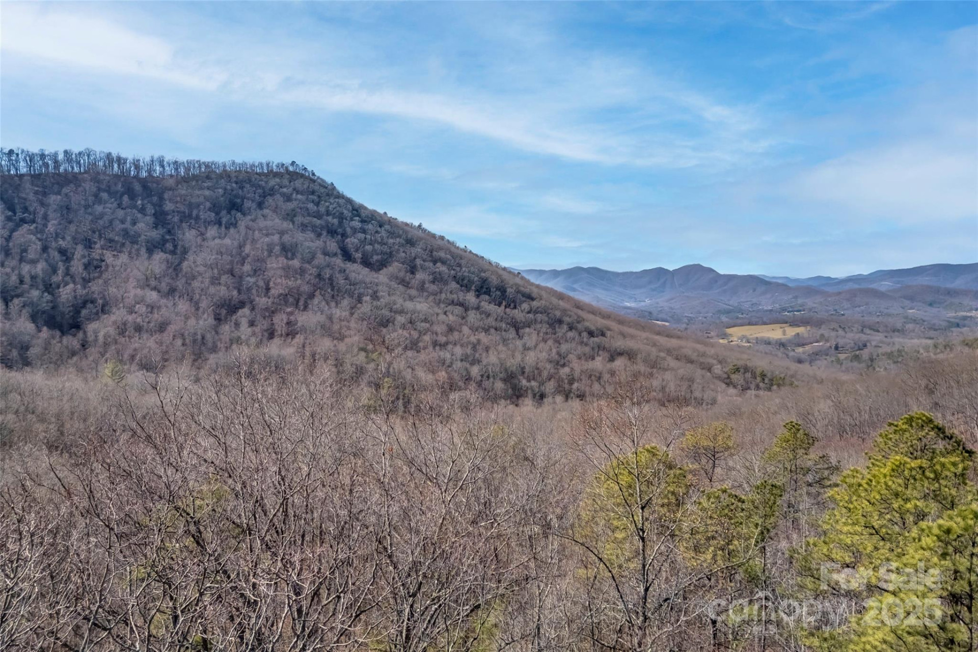 TBD Billy Cove Road - Photo 4