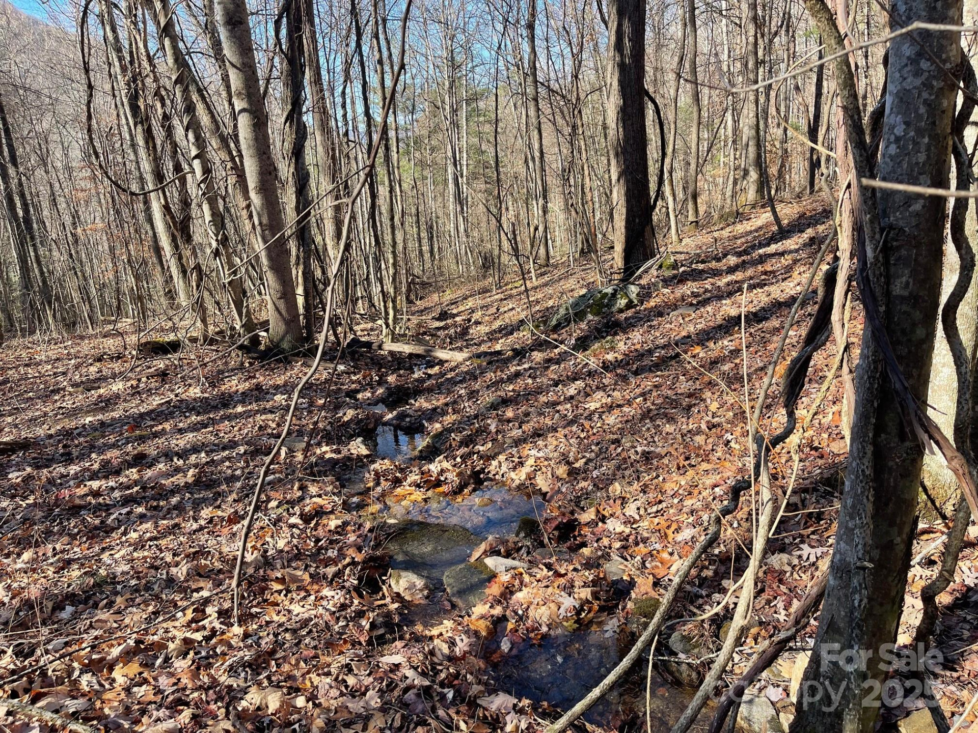 TBD Billy Cove Road - Photo 31