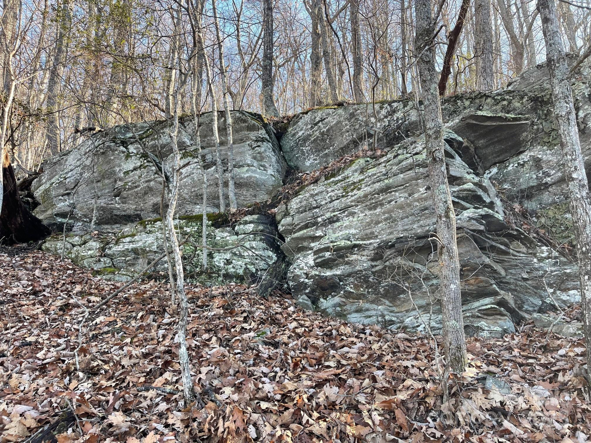 TBD Billy Cove Road - Photo 32