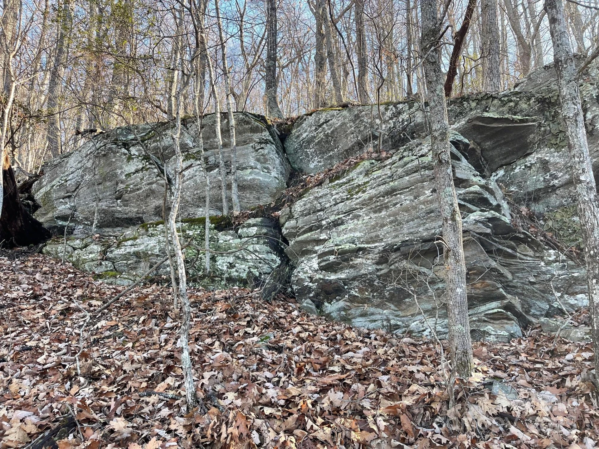 TBD Billy Cove Road - Photo 32