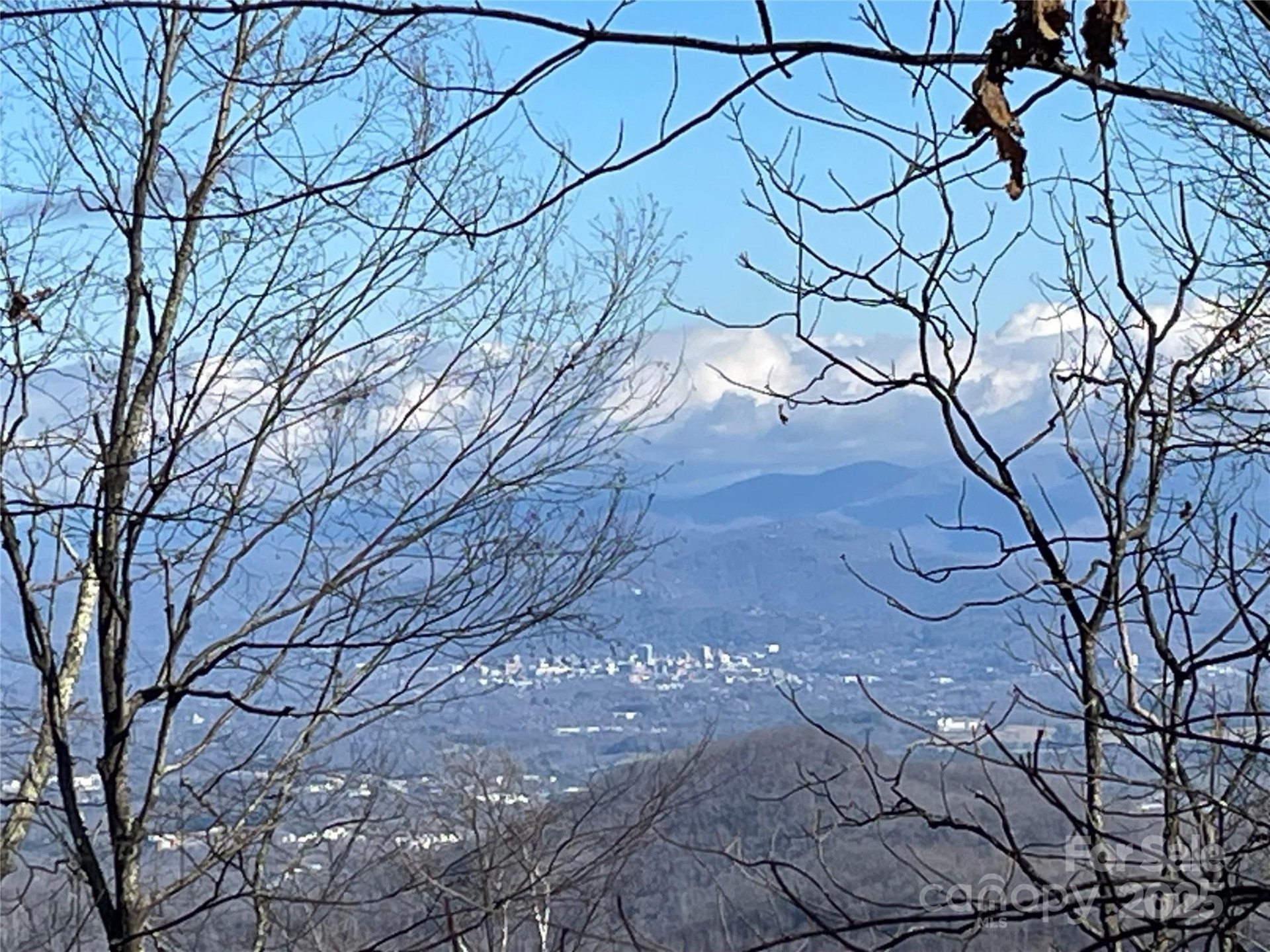 TBD Billy Cove Road - Photo 33