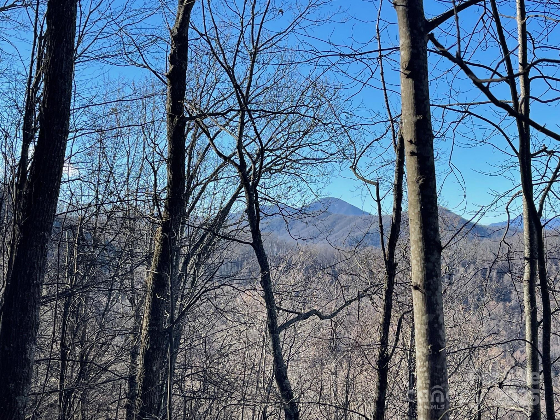 TBD Billy Cove Road - Photo 34