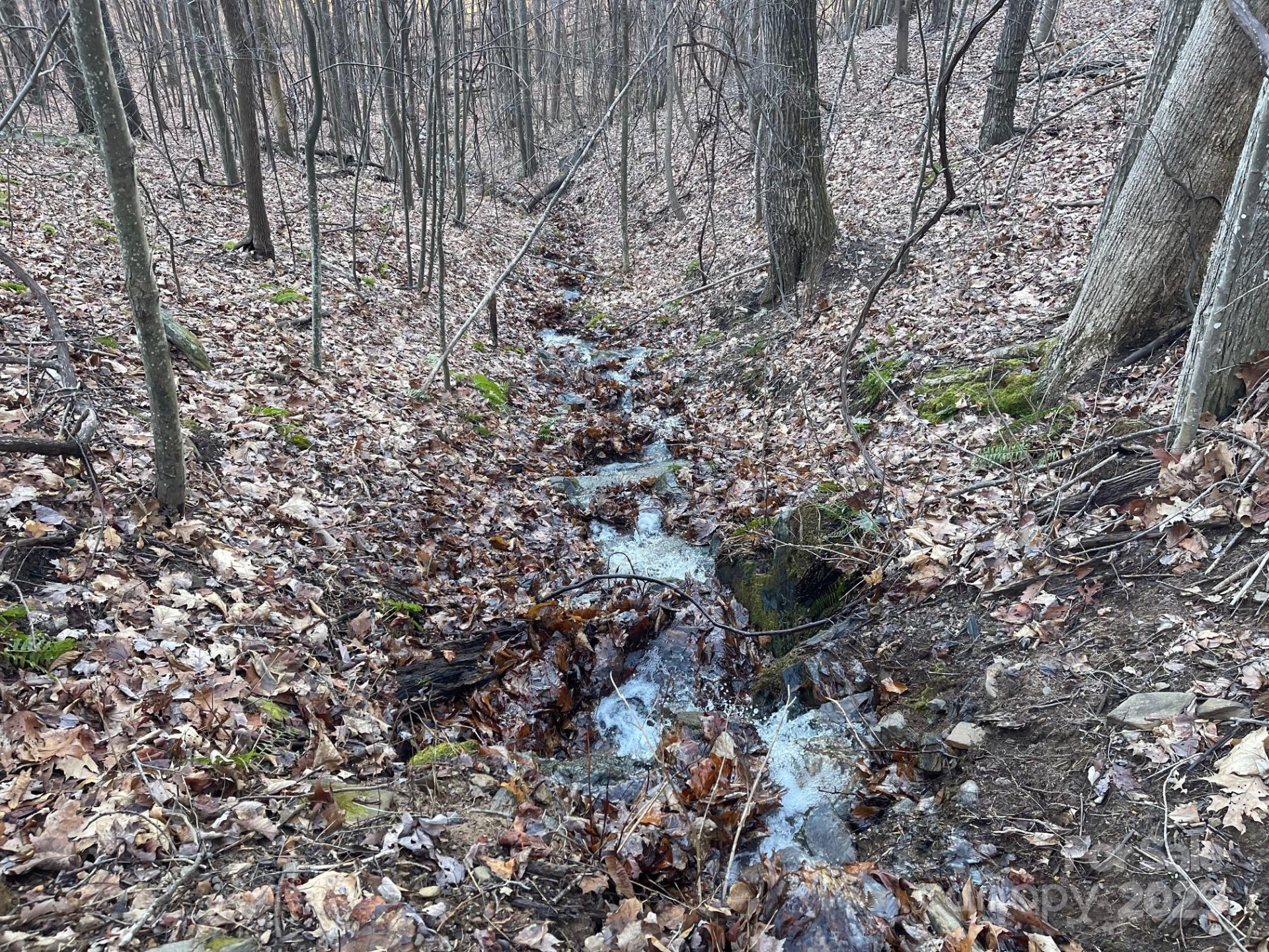 TBD Billy Cove Road - Photo 35