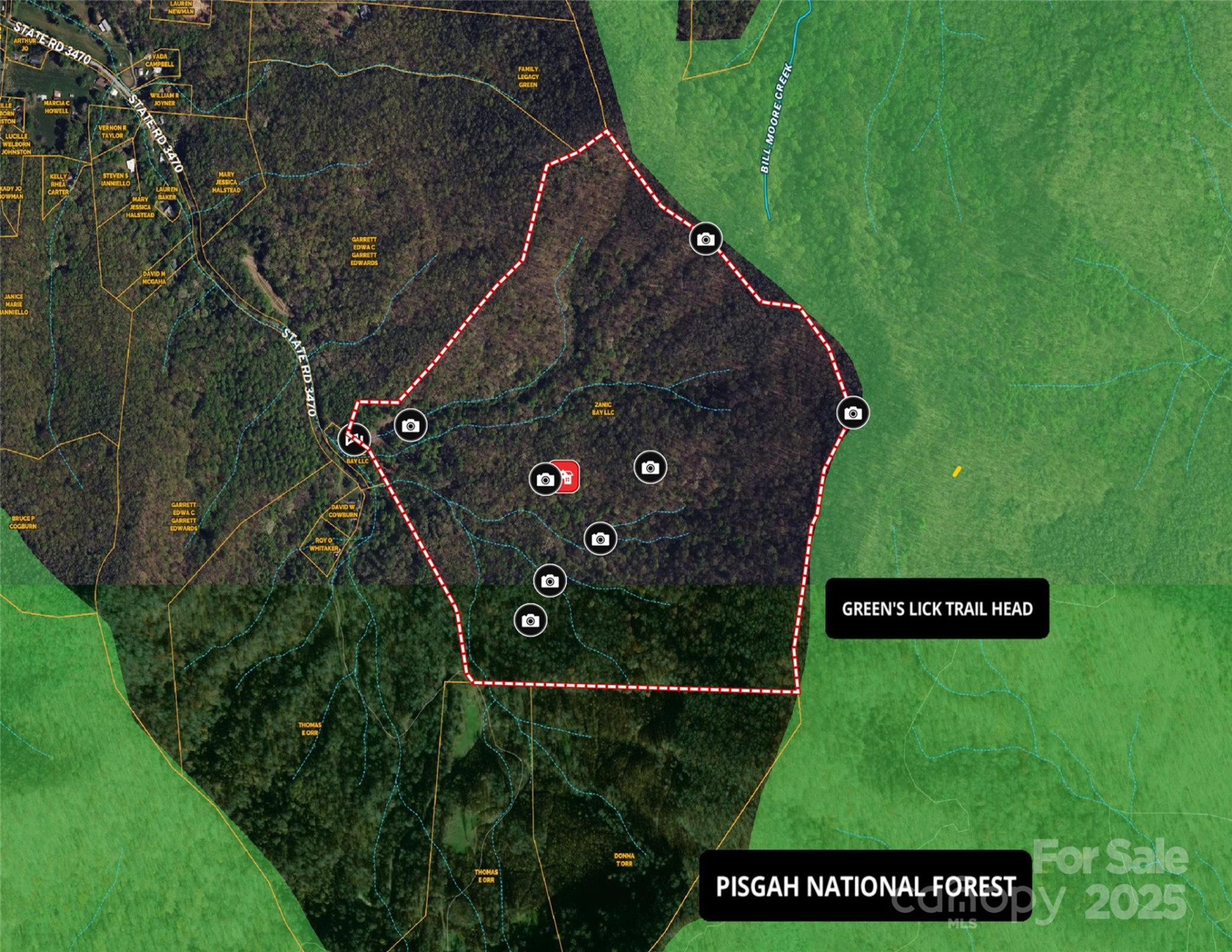 TBD Billy Cove Road - Photo 5