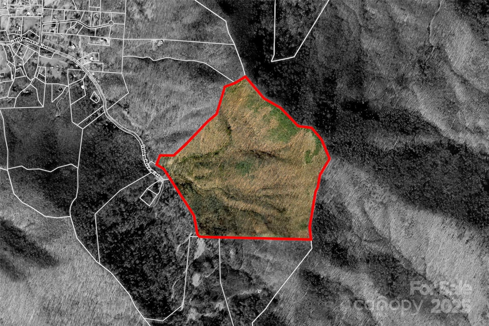 TBD Billy Cove Road - Photo 6