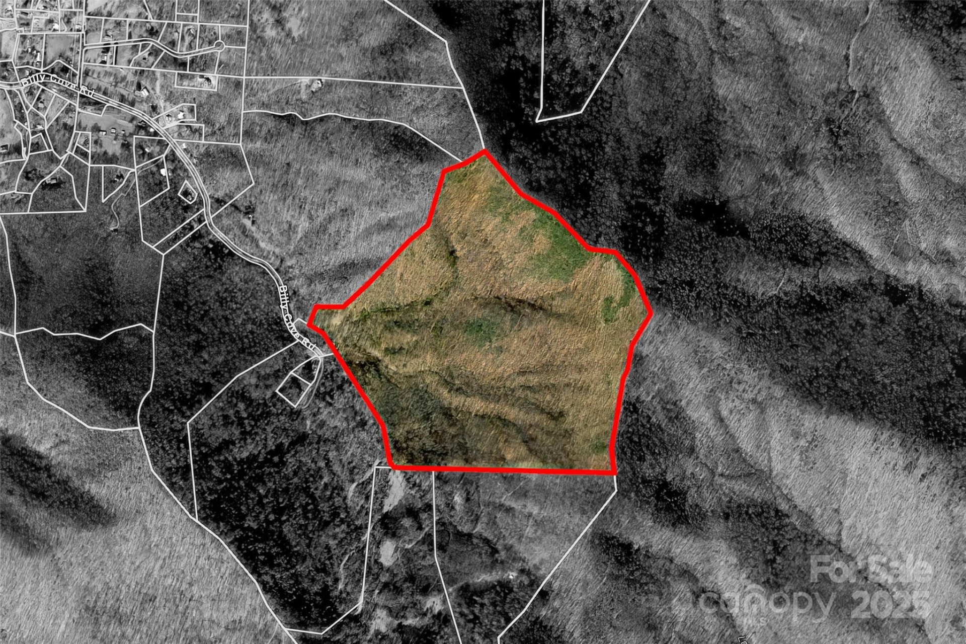 TBD Billy Cove Road - Photo 6