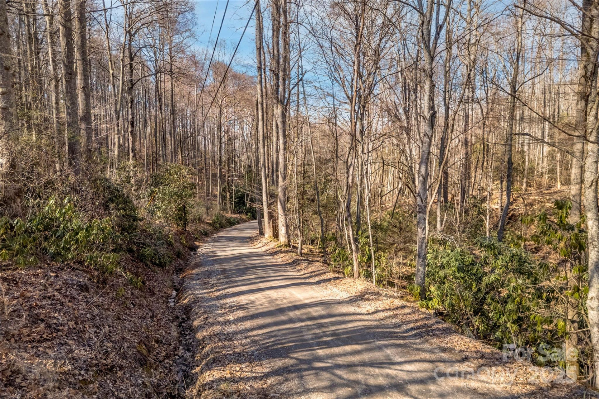 TBD Billy Cove Road - Photo 7