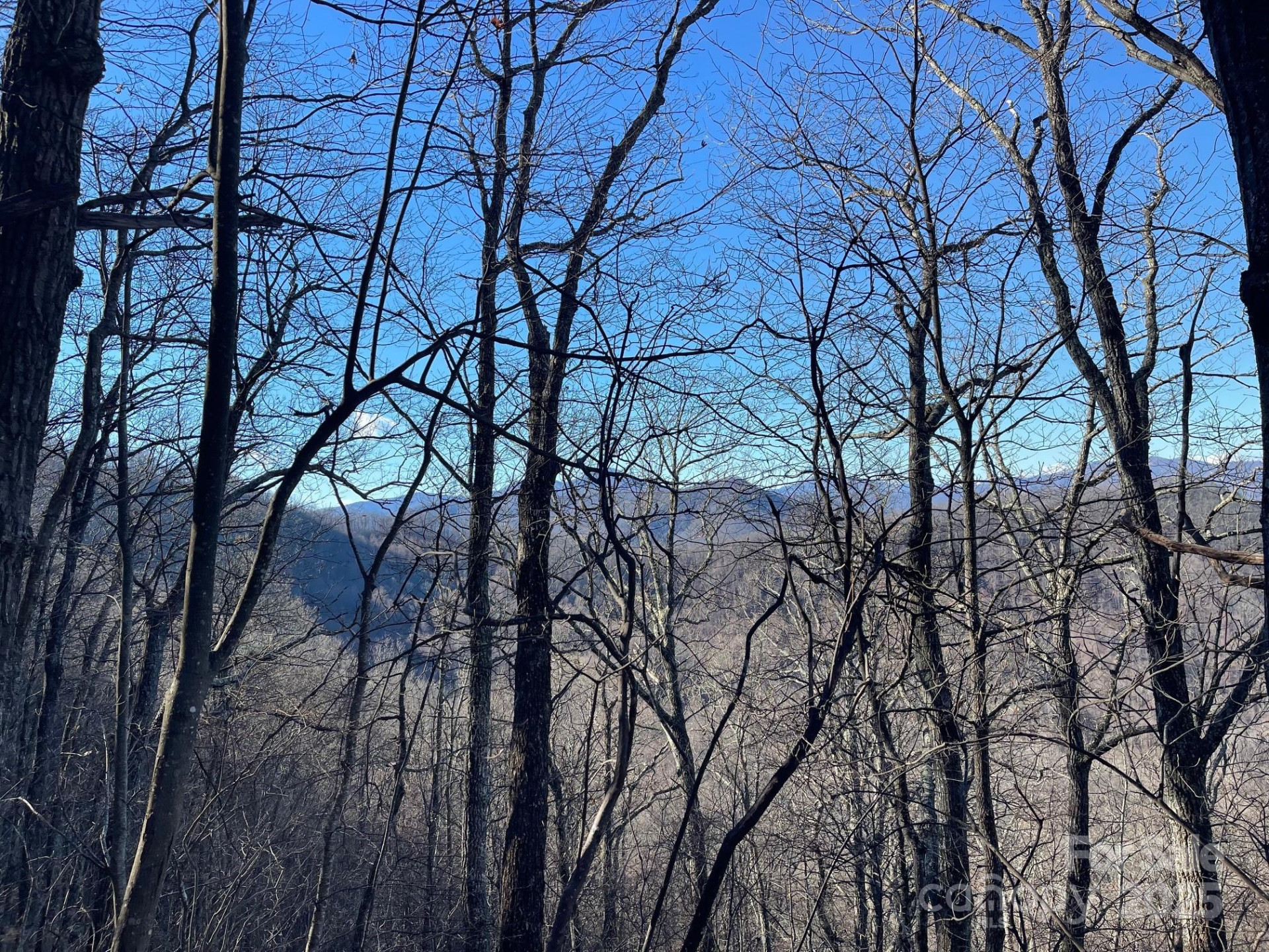 TBD Billy Cove Road - Photo 9