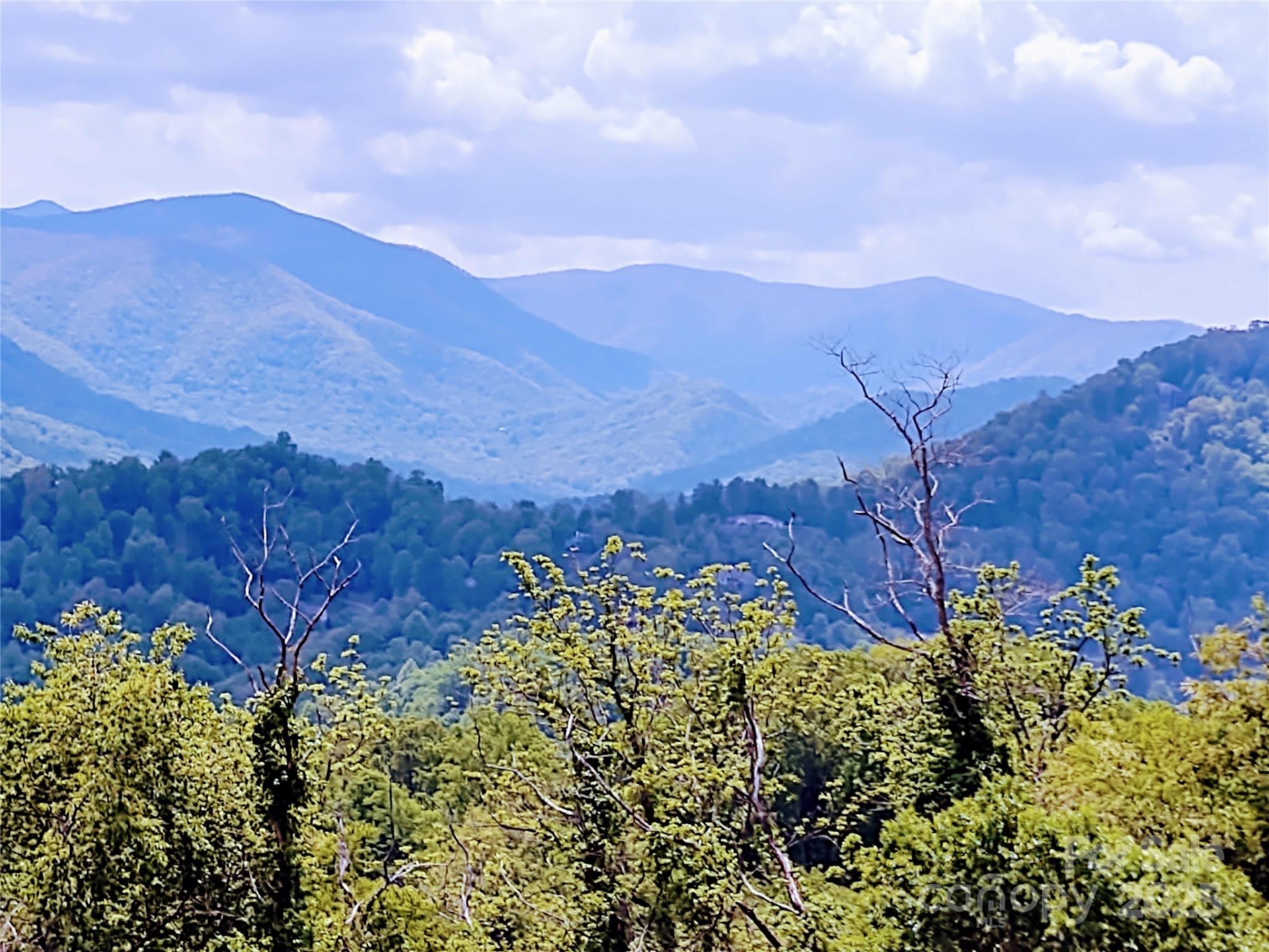 00 Tanner Trail - Photo 12