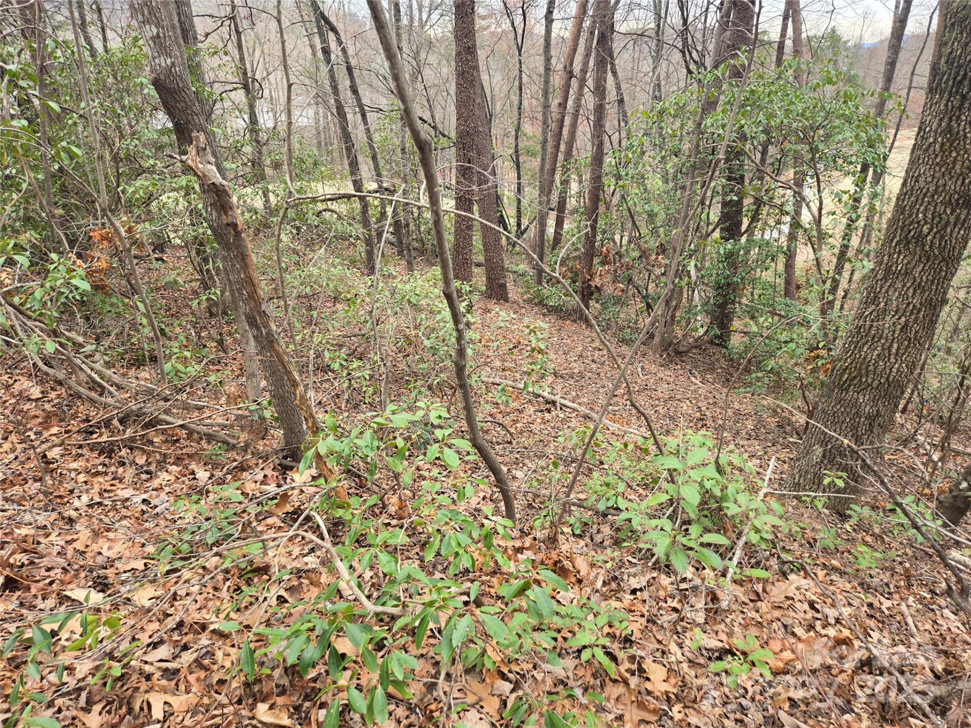 Lot 28 Roundabout Road - Photo 2