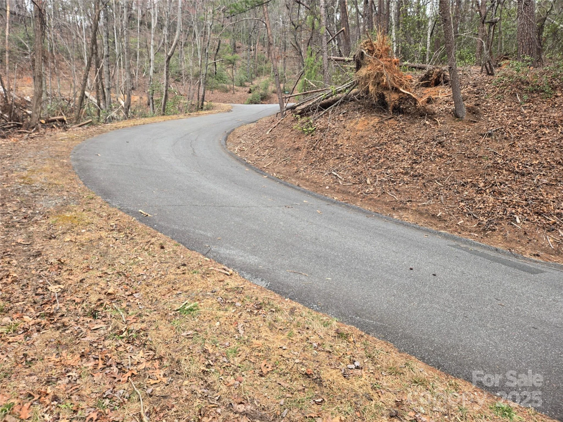 Lot 28 Roundabout Road - Photo 3