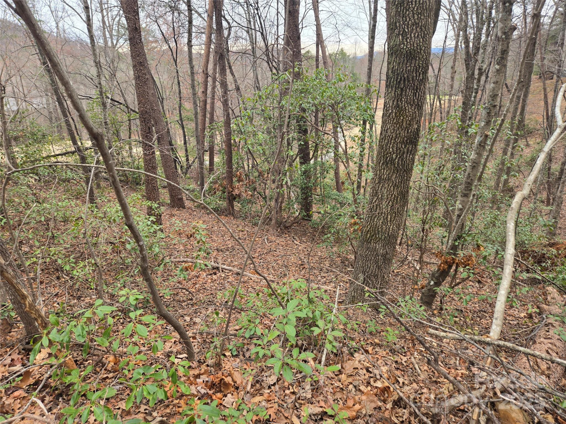 Lot 28 Roundabout Road - Photo 4