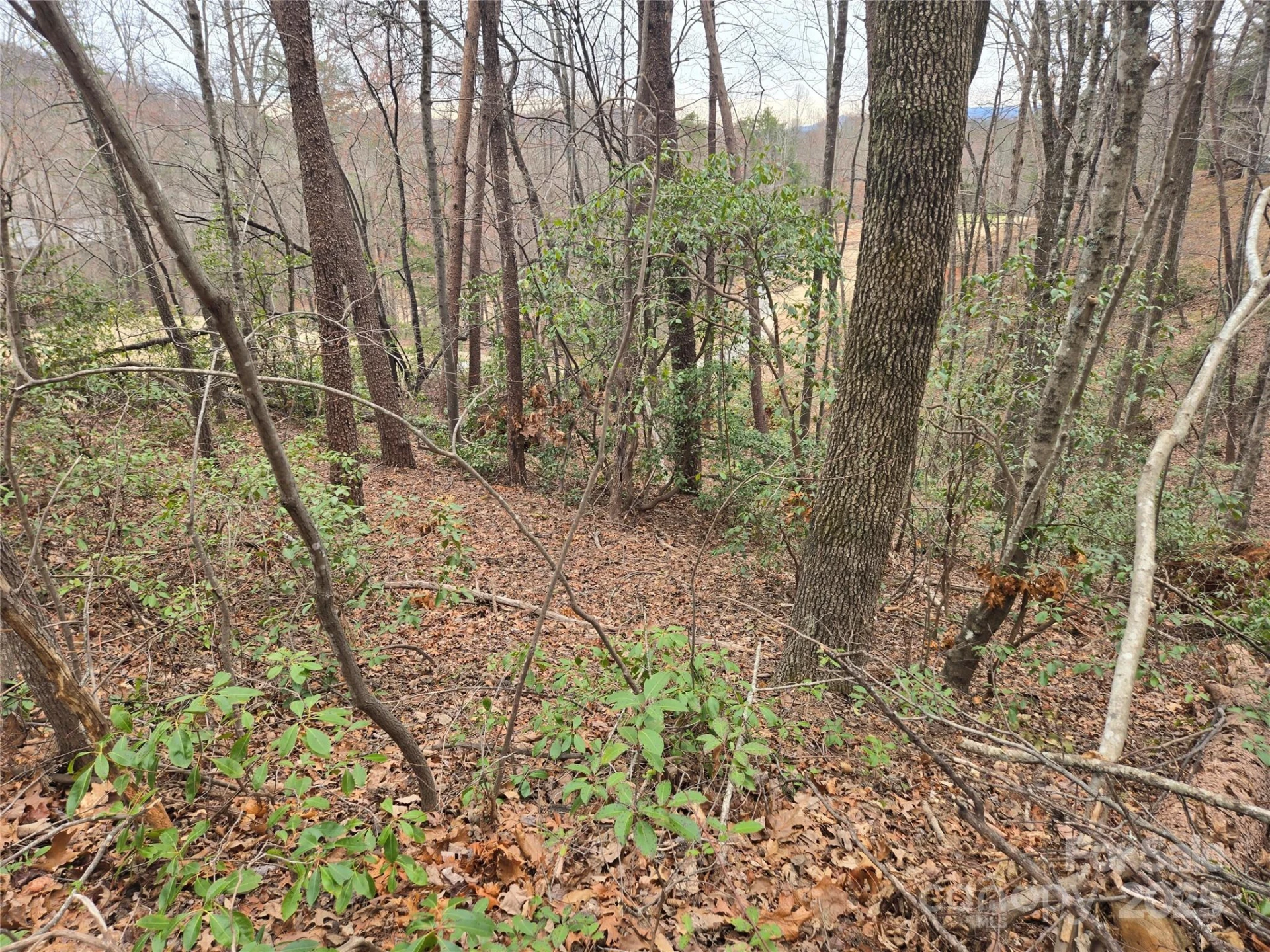 Lot 28 Roundabout Road - Photo 4