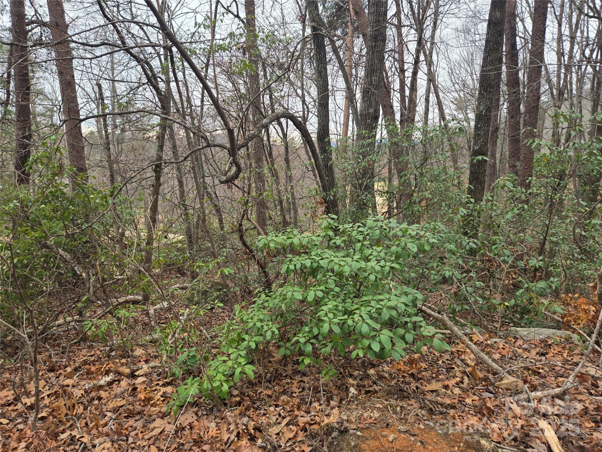 Lot 28 Roundabout Road - Photo 5