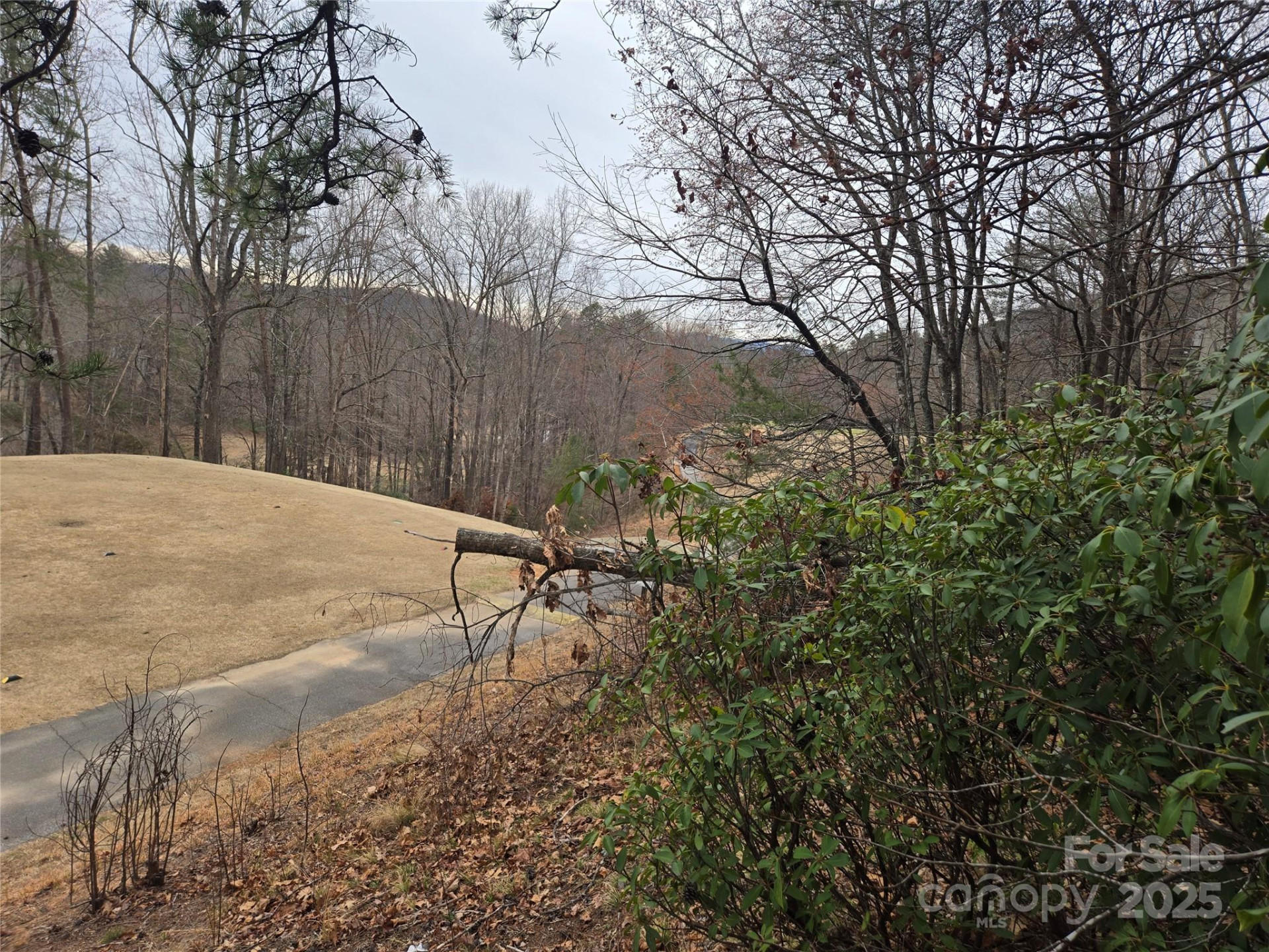 Lot 28 Roundabout Road - Photo 6