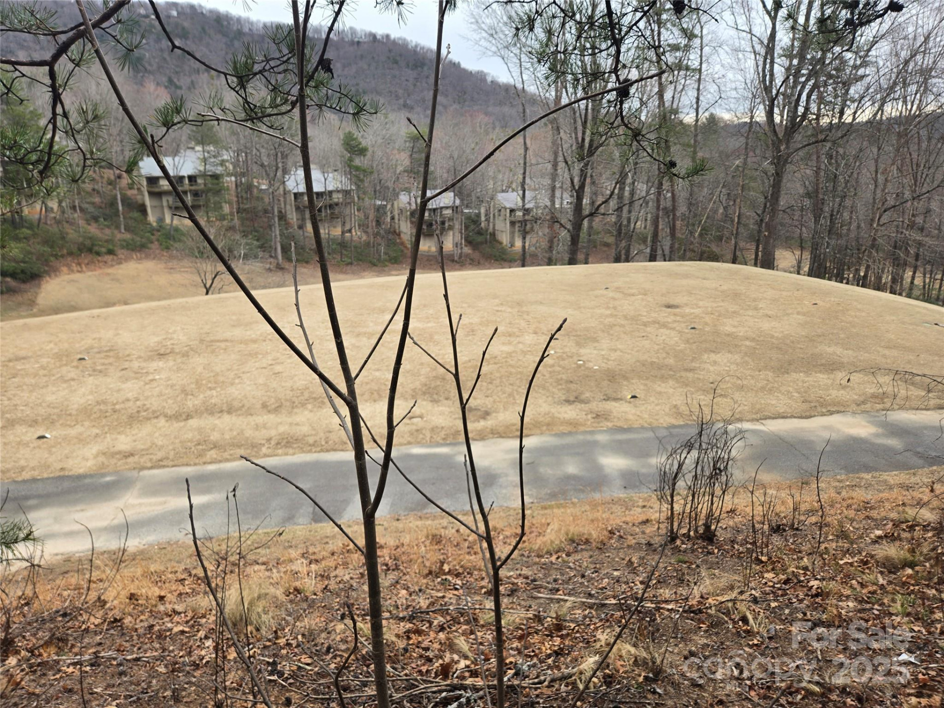 Lot 28 Roundabout Road - Photo 7