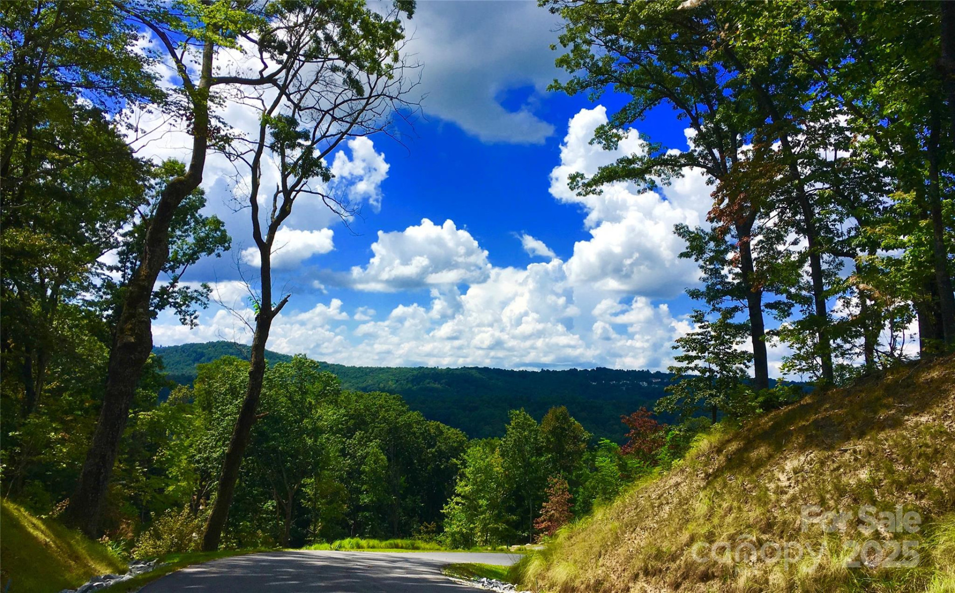 83 Curtain Bluff #r6