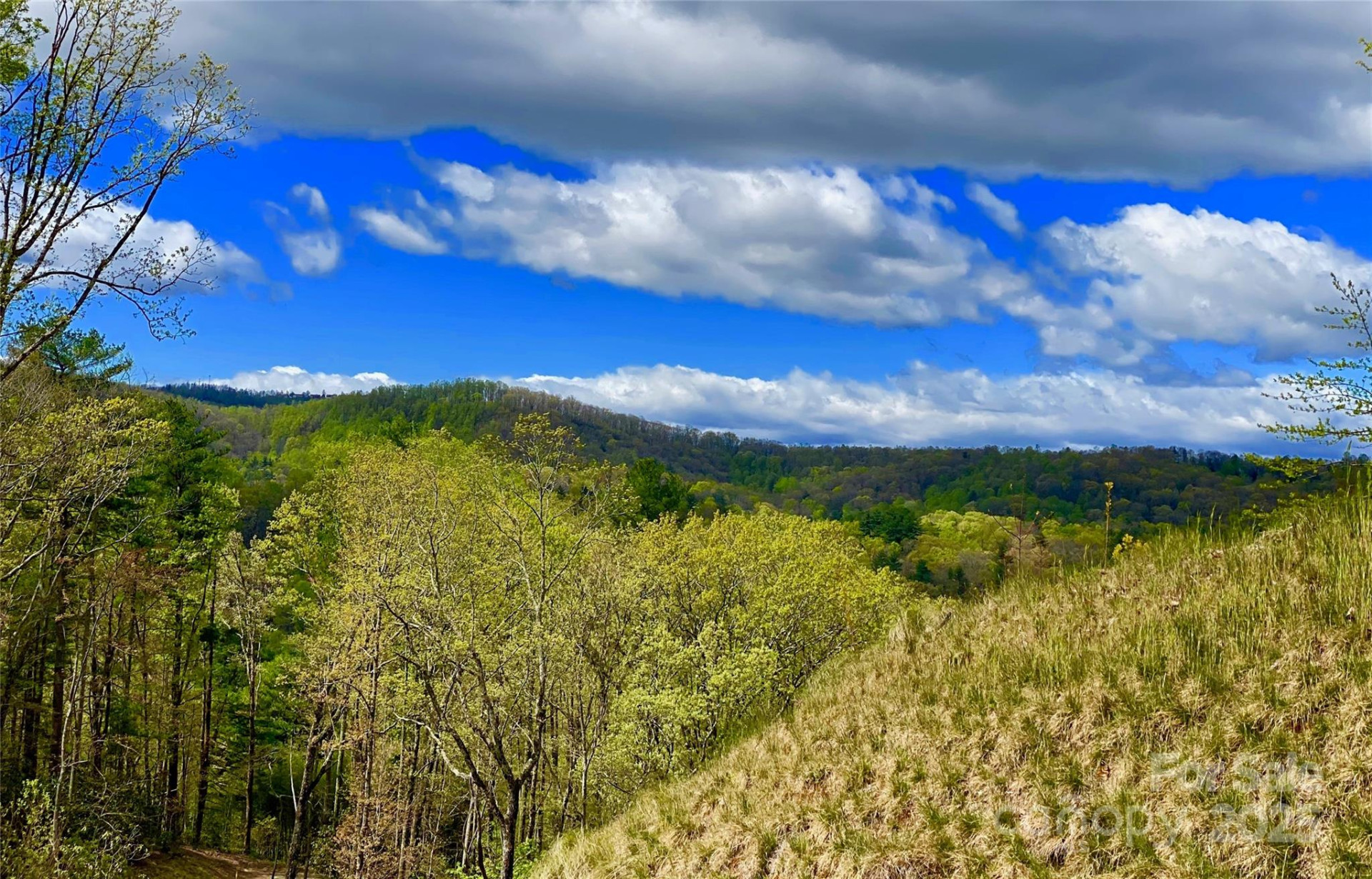 83 Curtain Bluff #r6 - Photo 2