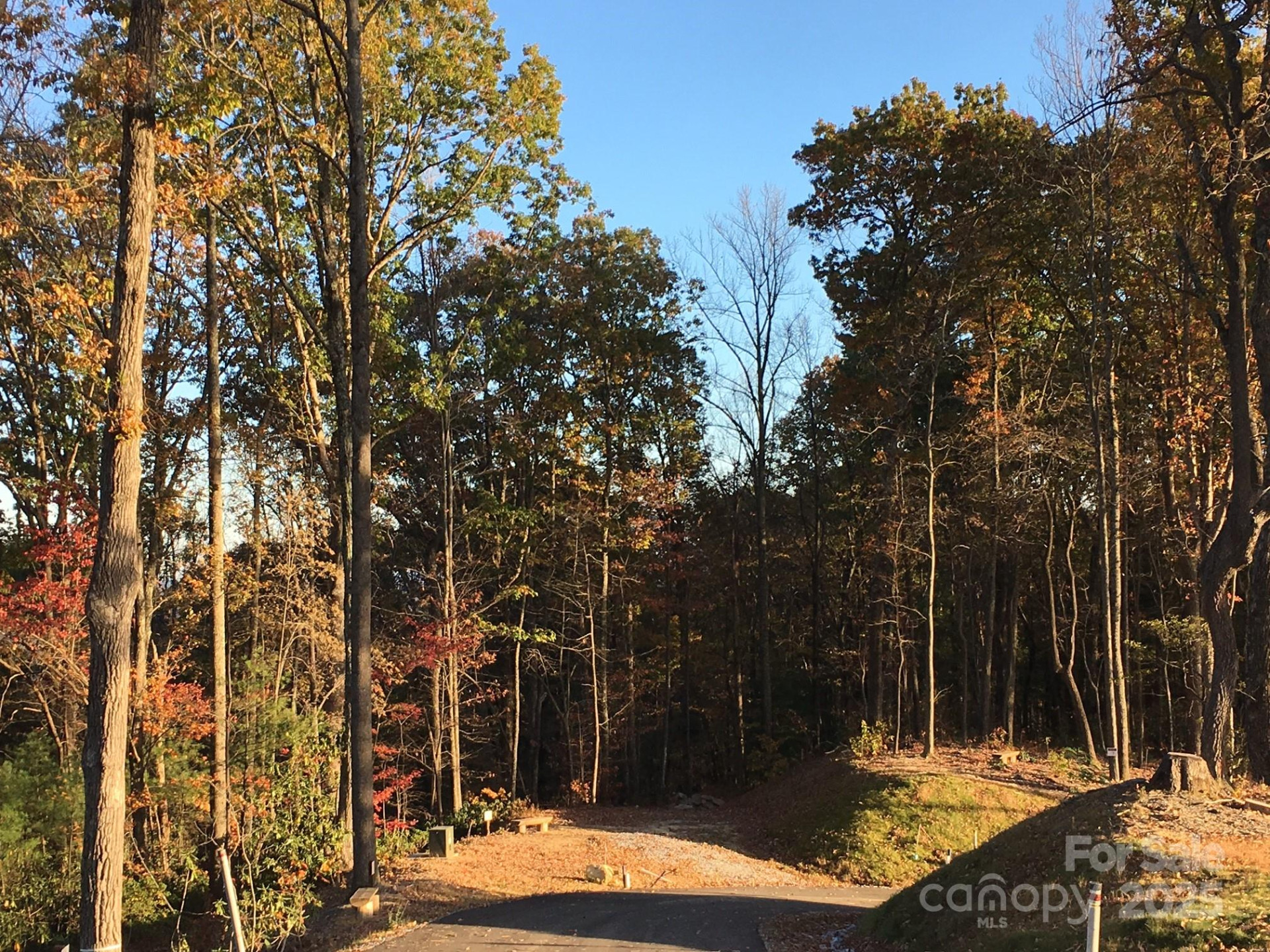 83 Curtain Bluff #r6 - Photo 4