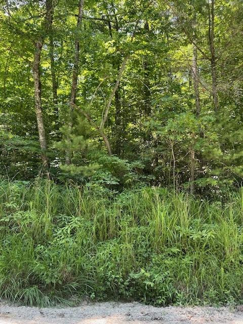 0 Pleasant Grove Church Road #3A - Photo 2