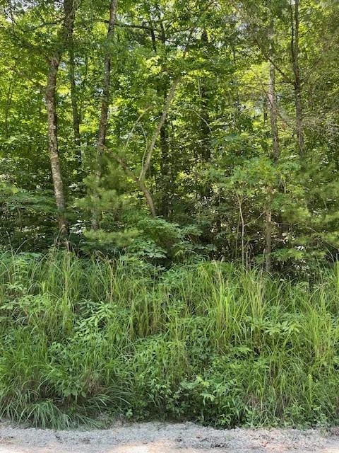 0 Pleasant Grove Church Road #3A - Photo 2