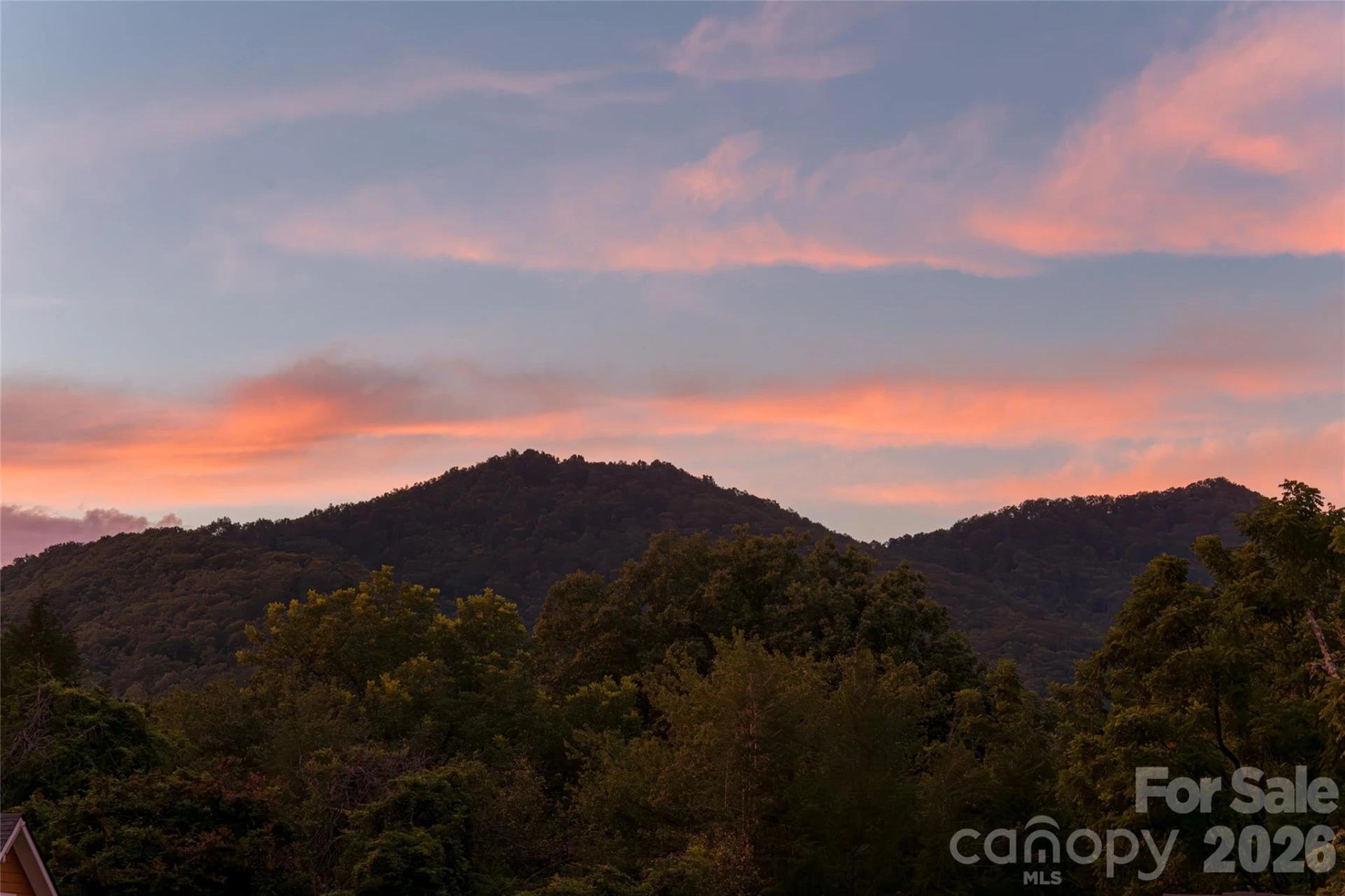 112 Louisa Street - Photo 48