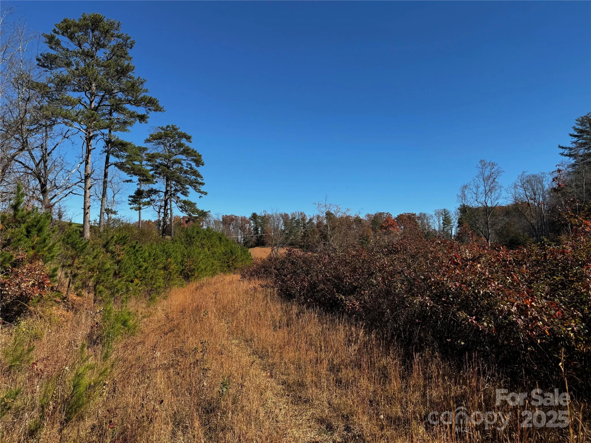 38 Flourish Farm Lane - Photo 2