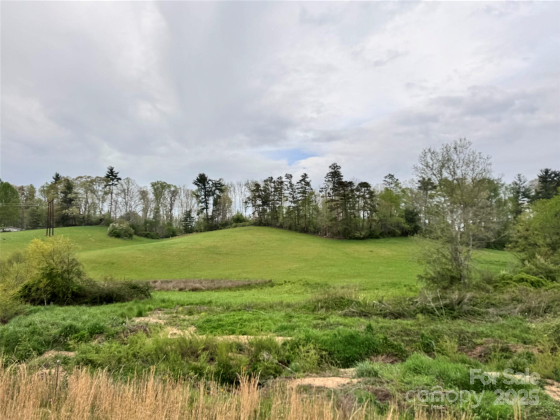 38 Flourish Farm Lane - Photo 12