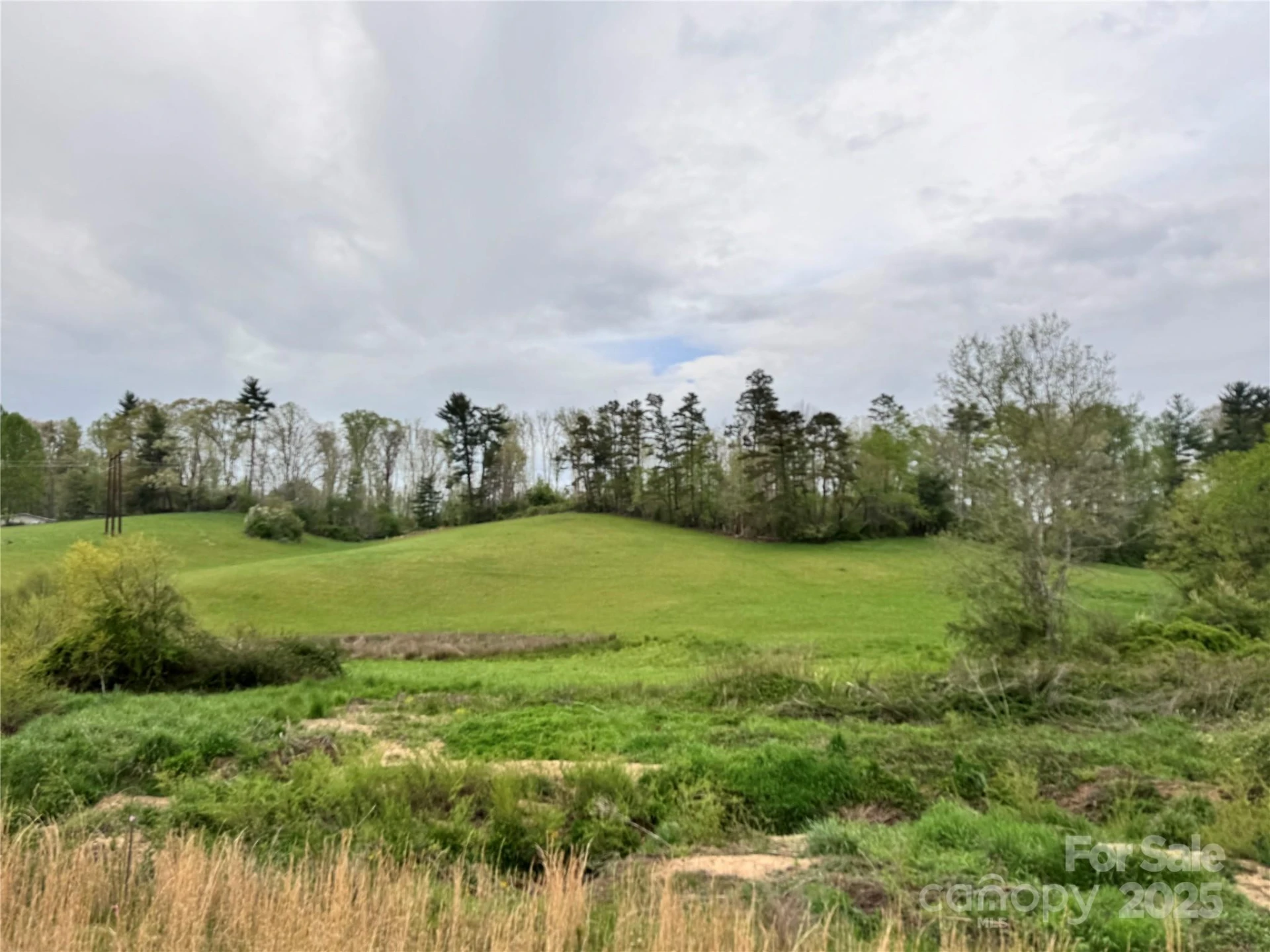 38 Flourish Farm Lane - Photo 12