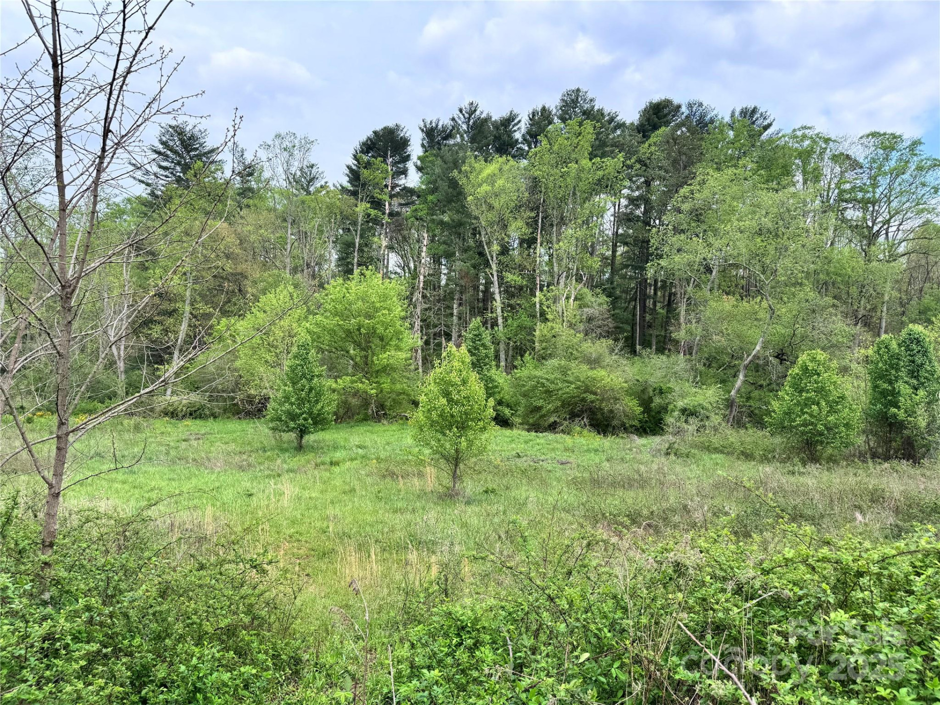 38 Flourish Farm Lane - Photo 13