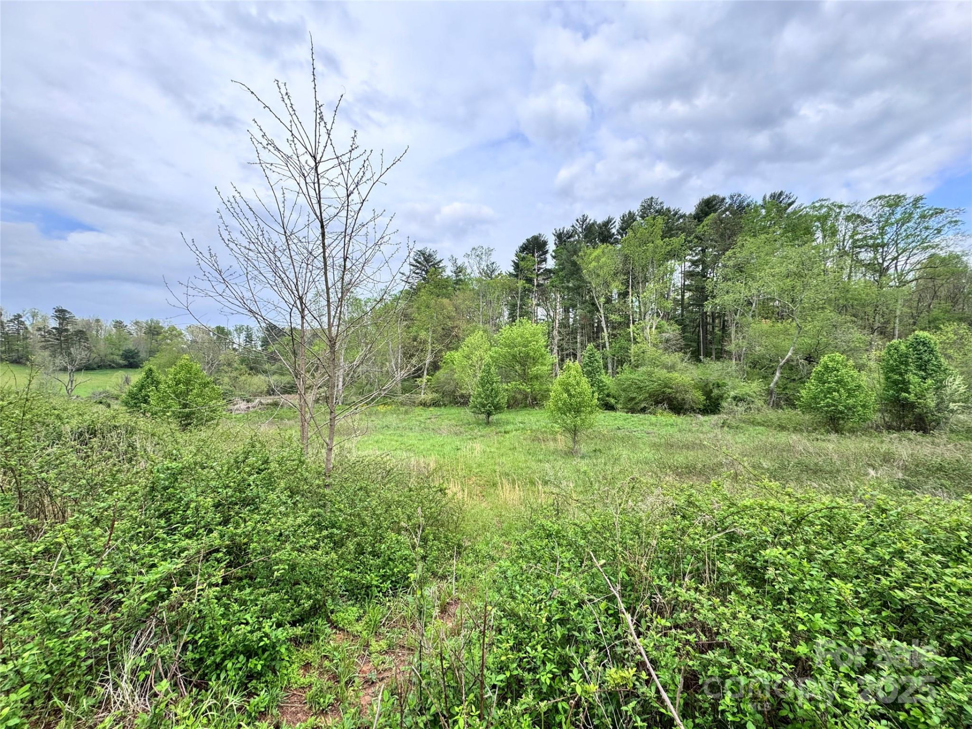 38 Flourish Farm Lane - Photo 14