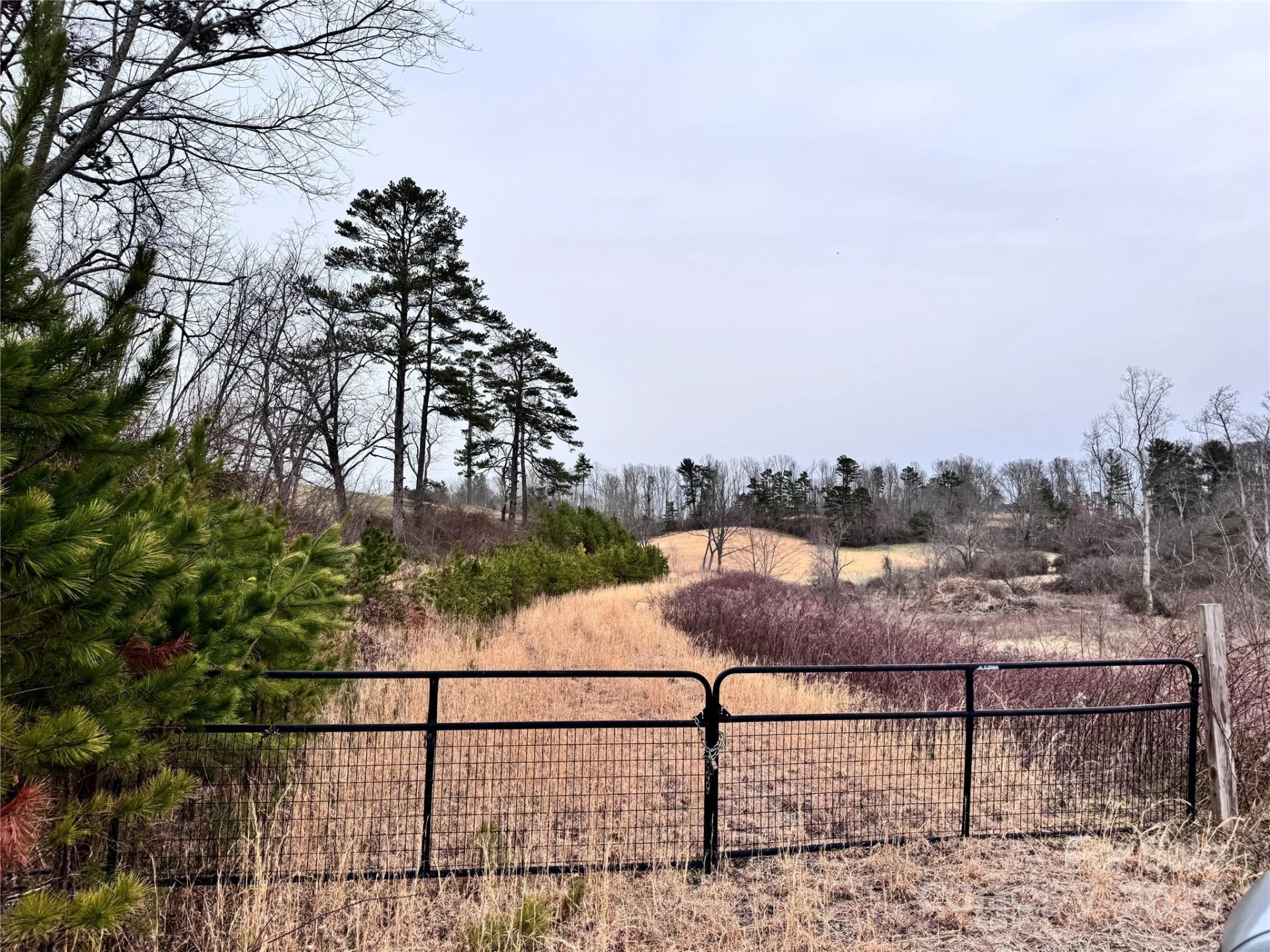 38 Flourish Farm Lane - Photo 15